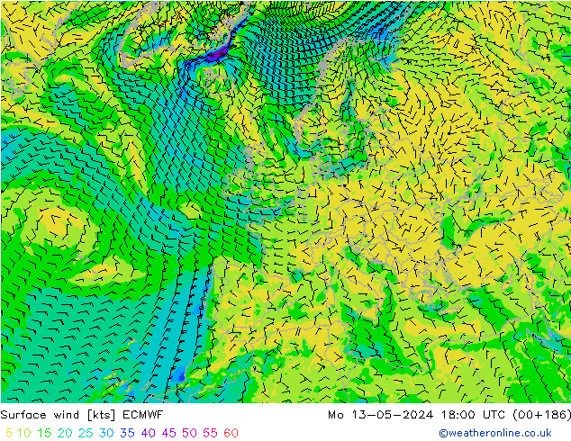 Bodenwind ECMWF Mo 13.05.2024 18 UTC