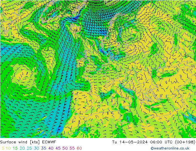 Surface wind ECMWF Tu 14.05.2024 06 UTC