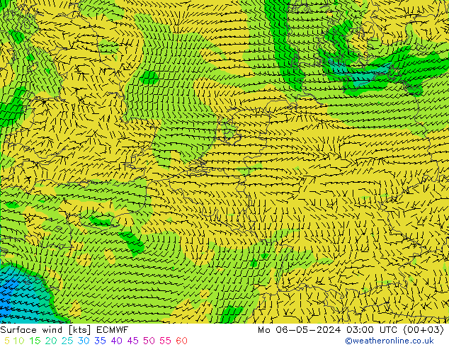 风 10 米 ECMWF 星期一 06.05.2024 03 UTC