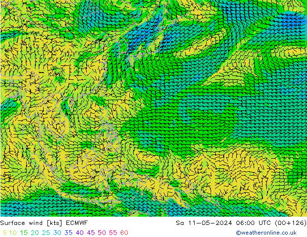 Surface wind ECMWF Sa 11.05.2024 06 UTC