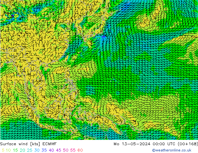 Bodenwind ECMWF Mo 13.05.2024 00 UTC