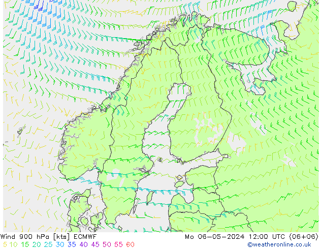 Wind 900 hPa ECMWF Mo 06.05.2024 12 UTC