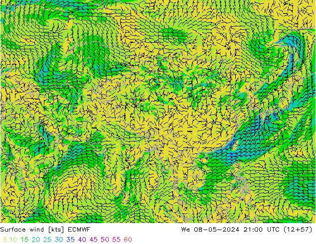 Surface wind ECMWF We 08.05.2024 21 UTC