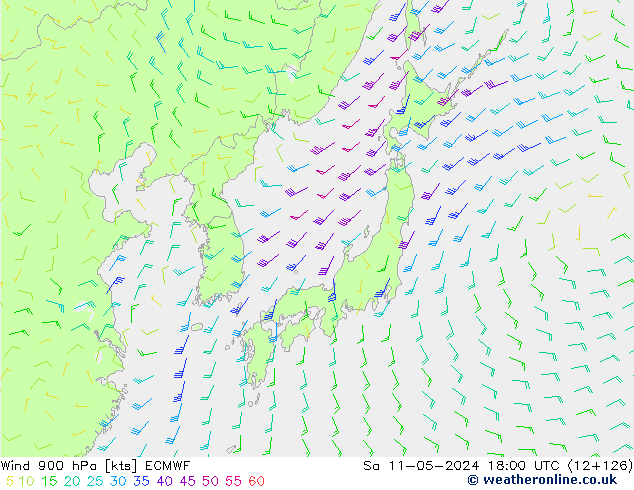 wiatr 900 hPa ECMWF so. 11.05.2024 18 UTC