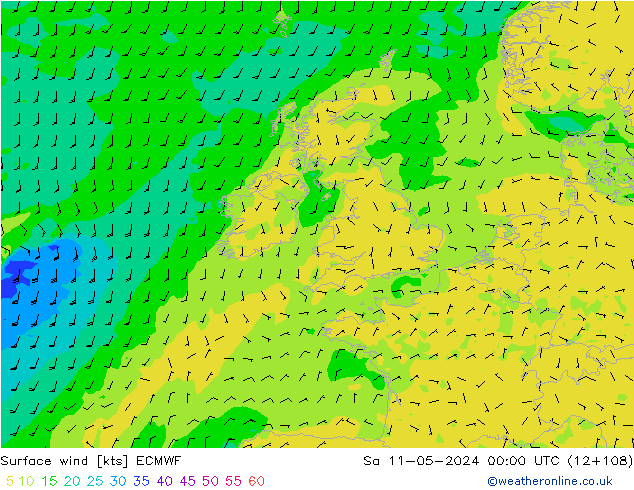 Surface wind ECMWF Sa 11.05.2024 00 UTC