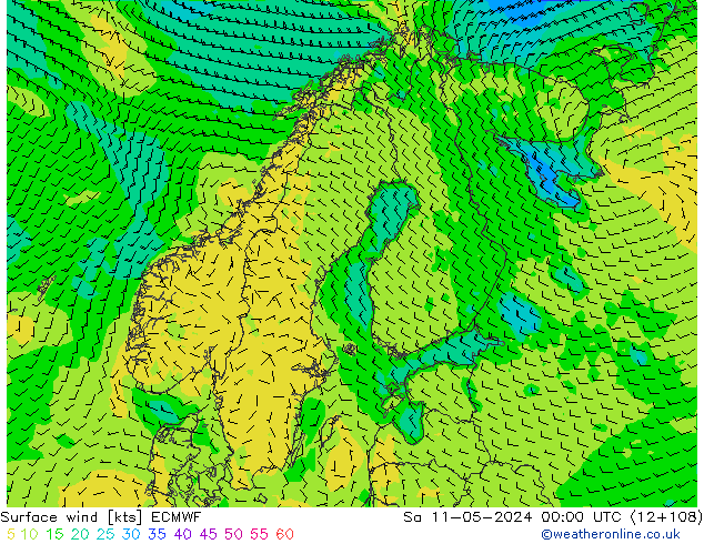 Viento 10 m ECMWF sáb 11.05.2024 00 UTC