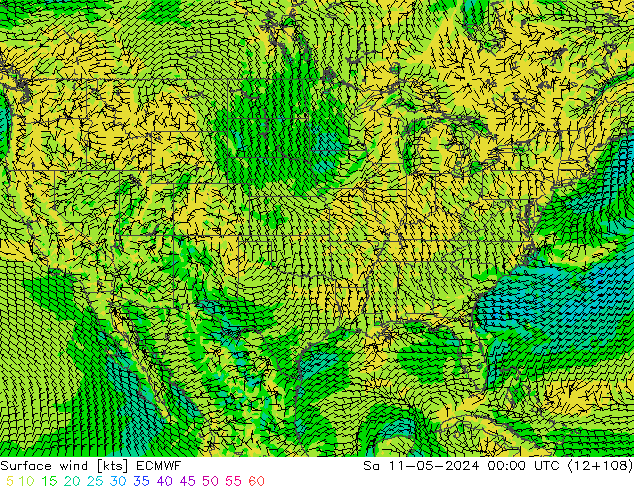 Surface wind ECMWF Sa 11.05.2024 00 UTC