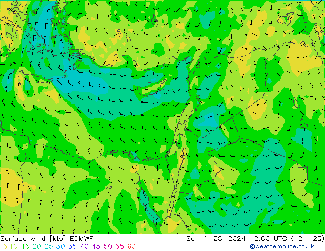 Prec 6h/Wind 10m/950 ECMWF Sa 11.05.2024 12 UTC