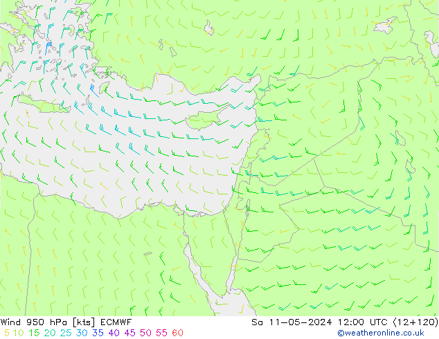 Prec 6h/Wind 10m/950 ECMWF Sa 11.05.2024 12 UTC