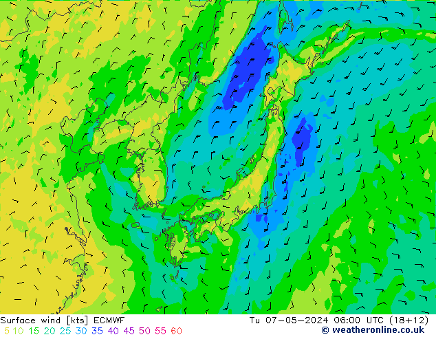 Surface wind ECMWF Tu 07.05.2024 06 UTC