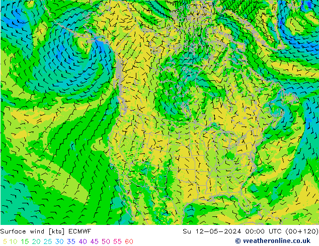 Prec 6h/Wind 10m/950 ECMWF Su 12.05.2024 00 UTC