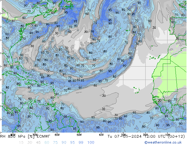  Di 07.05.2024 12 UTC