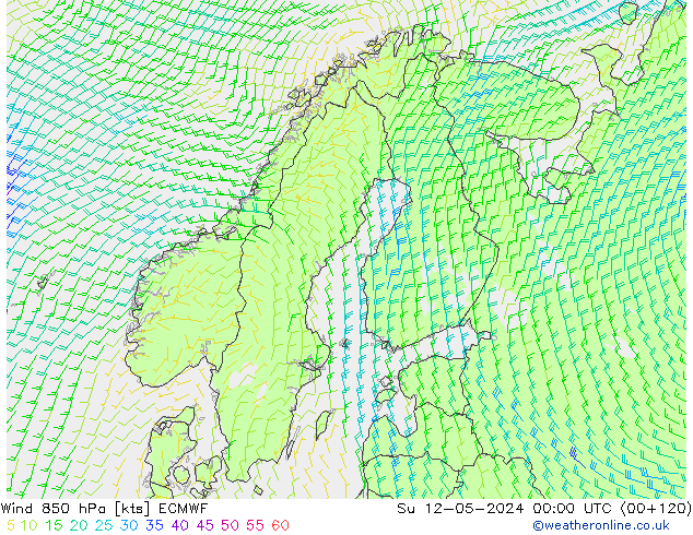 ветер 850 гПа ECMWF Вс 12.05.2024 00 UTC