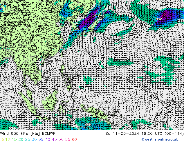 Rüzgar 950 hPa ECMWF Cts 11.05.2024 18 UTC