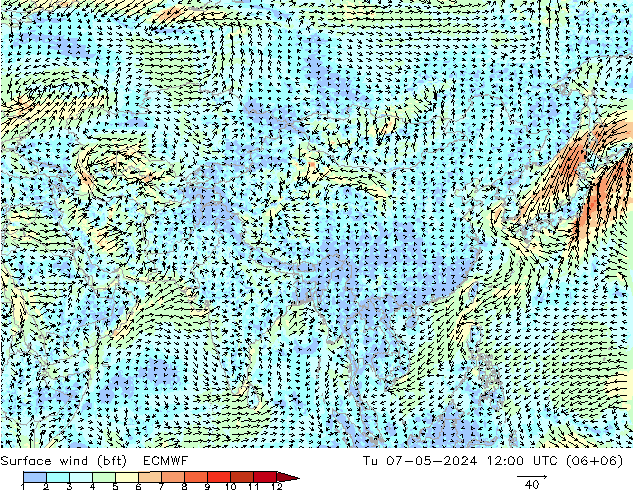 Surface wind (bft) ECMWF Tu 07.05.2024 12 UTC