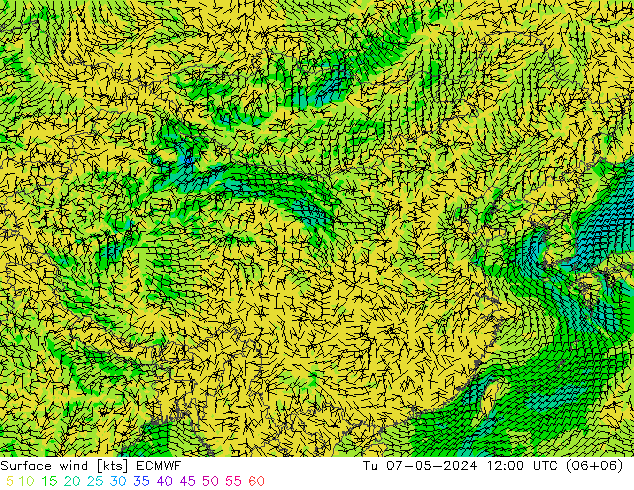 风 10 米 ECMWF 星期二 07.05.2024 12 UTC