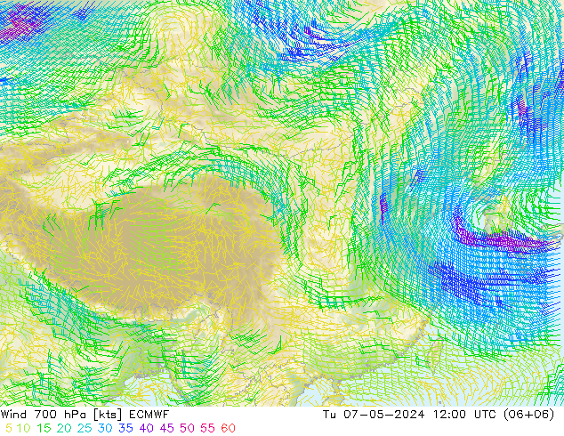 风 700 hPa ECMWF 星期二 07.05.2024 12 UTC