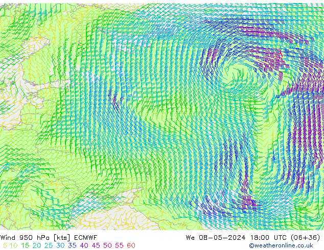 Wind 950 hPa ECMWF wo 08.05.2024 18 UTC