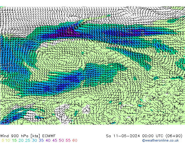Wind 900 hPa ECMWF Sa 11.05.2024 00 UTC