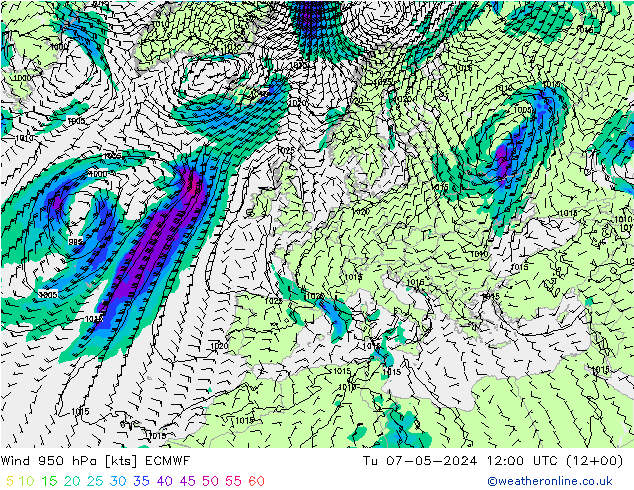 Wind 950 hPa ECMWF Di 07.05.2024 12 UTC