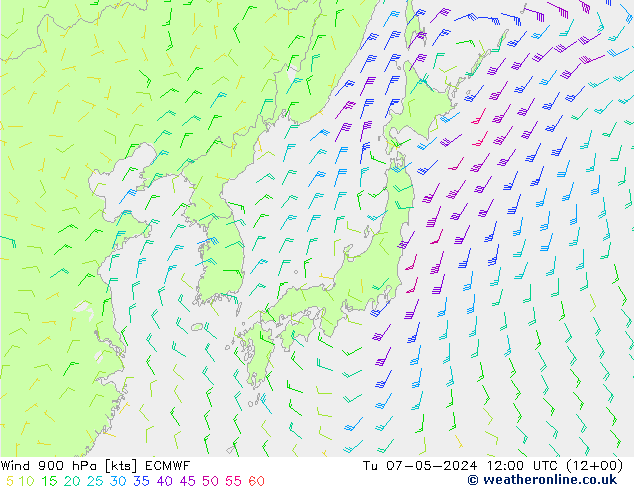 Wind 900 hPa ECMWF di 07.05.2024 12 UTC