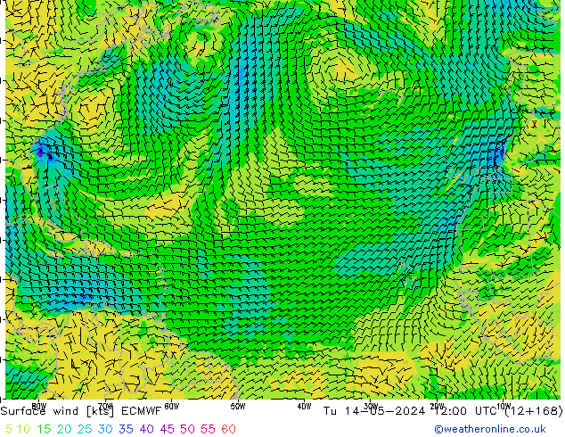 Surface wind ECMWF Tu 14.05.2024 12 UTC