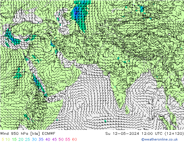Rüzgar 950 hPa ECMWF Paz 12.05.2024 12 UTC