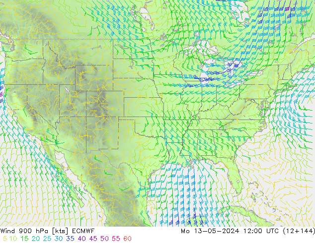 Wind 900 hPa ECMWF ma 13.05.2024 12 UTC