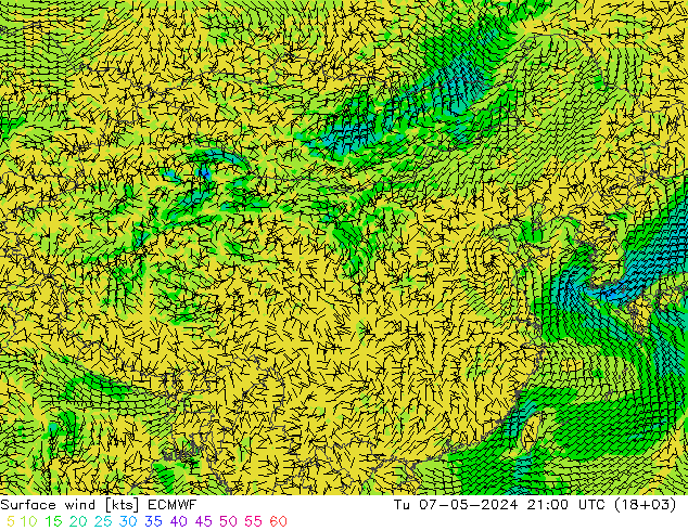 风 10 米 ECMWF 星期二 07.05.2024 21 UTC