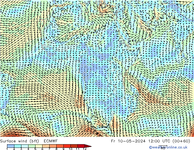 Wind 10 m (bft) ECMWF vr 10.05.2024 12 UTC