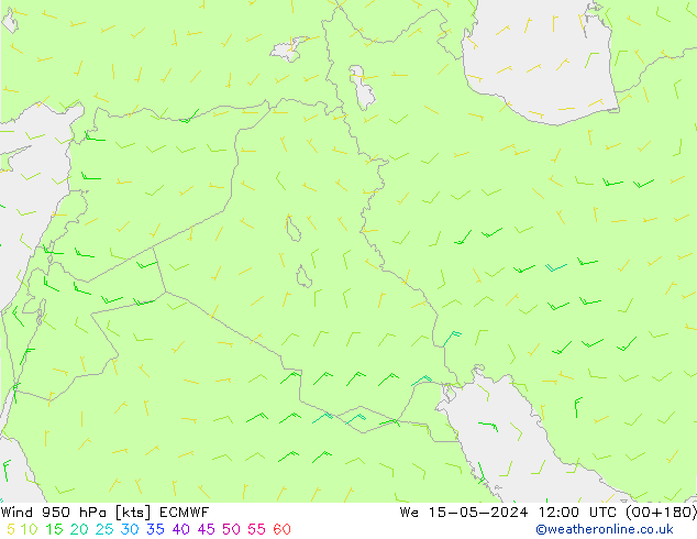 Rüzgar 950 hPa ECMWF Çar 15.05.2024 12 UTC