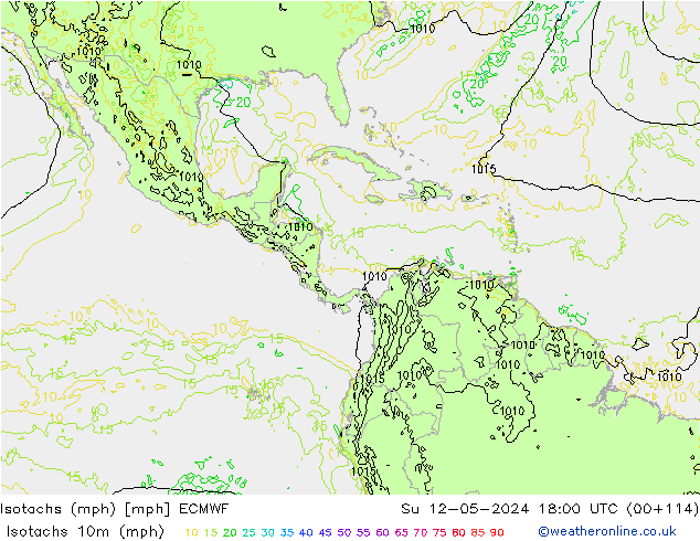 Isotaca (mph) ECMWF dom 12.05.2024 18 UTC