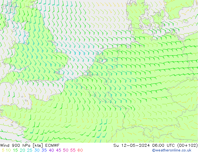 Wind 900 hPa ECMWF Su 12.05.2024 06 UTC