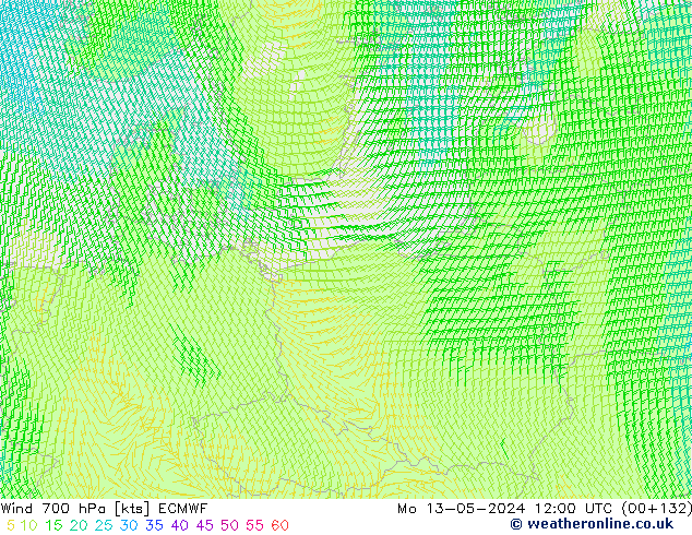 Rüzgar 700 hPa ECMWF Pzt 13.05.2024 12 UTC