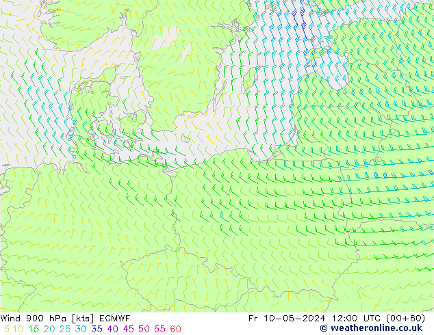 Wind 900 hPa ECMWF Fr 10.05.2024 12 UTC