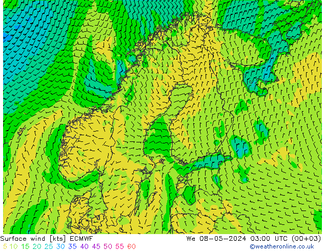 Surface wind ECMWF We 08.05.2024 03 UTC