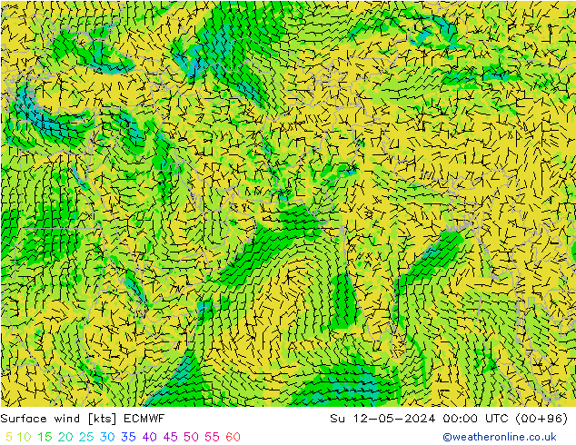 Surface wind ECMWF Su 12.05.2024 00 UTC