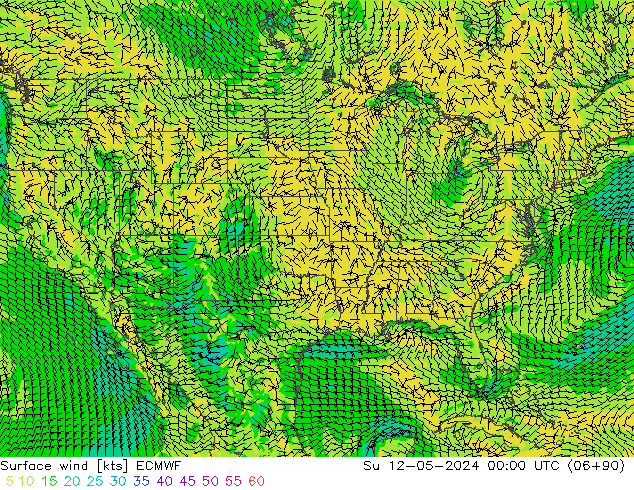 Vent 10 m ECMWF dim 12.05.2024 00 UTC