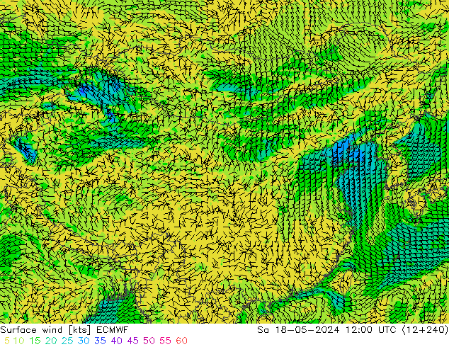 风 10 米 ECMWF 星期六 18.05.2024 12 UTC