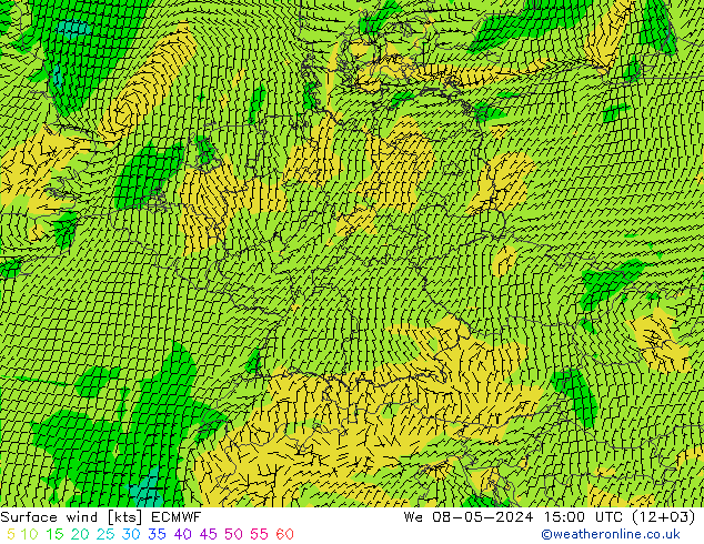 Surface wind ECMWF We 08.05.2024 15 UTC