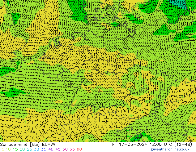 Bodenwind ECMWF Fr 10.05.2024 12 UTC