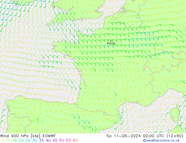 Rüzgar 900 hPa ECMWF Cts 11.05.2024 00 UTC