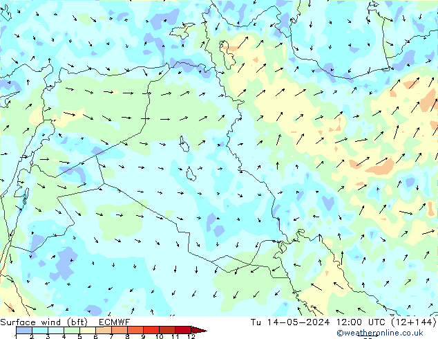 Wind 10 m (bft) ECMWF di 14.05.2024 12 UTC