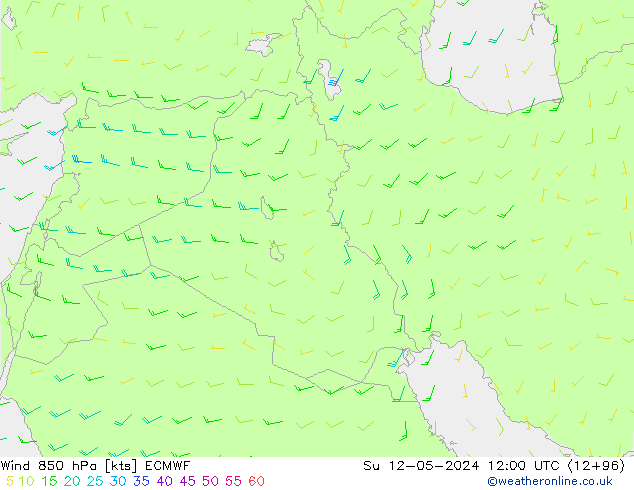 Wind 850 hPa ECMWF zo 12.05.2024 12 UTC