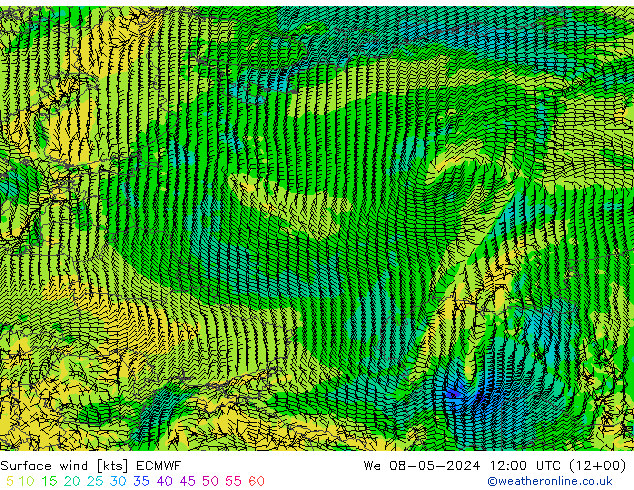 Surface wind ECMWF We 08.05.2024 12 UTC