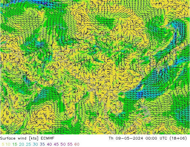 Prec 6h/Wind 10m/950 ECMWF Th 09.05.2024 00 UTC