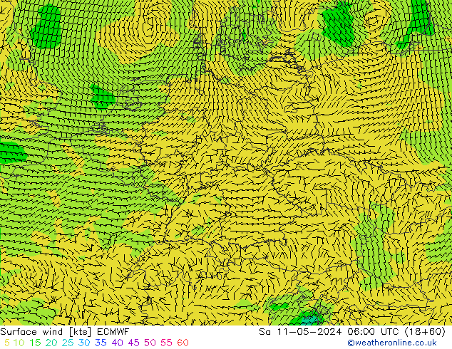 Vent 10 m ECMWF sam 11.05.2024 06 UTC