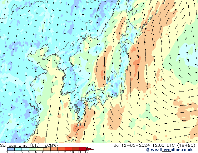 Surface wind (bft) ECMWF Ne 12.05.2024 12 UTC
