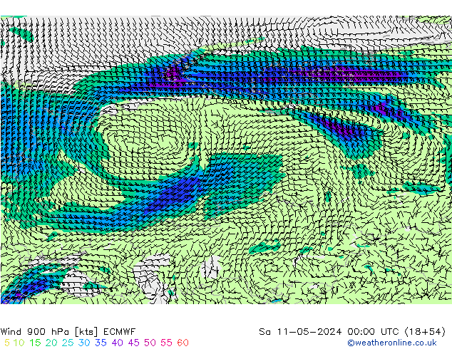 wiatr 900 hPa ECMWF so. 11.05.2024 00 UTC