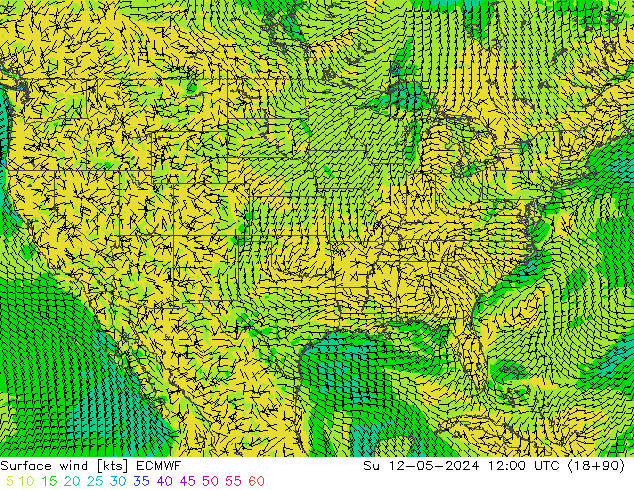 Vento 10 m ECMWF Dom 12.05.2024 12 UTC